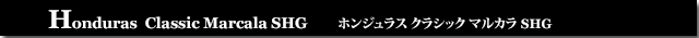 ホンジュラスクラシックマルカラSHG