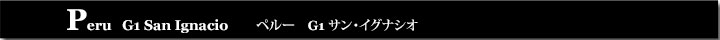 ペルーG1サン・イグナシオ