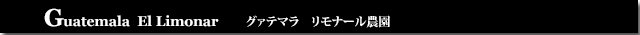 グァテマラリモナール農園