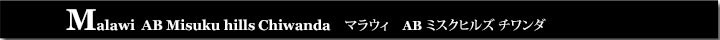 マラウィABミスクヒルズチワンダ