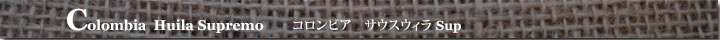コロンビアサウスウィラスプレモ